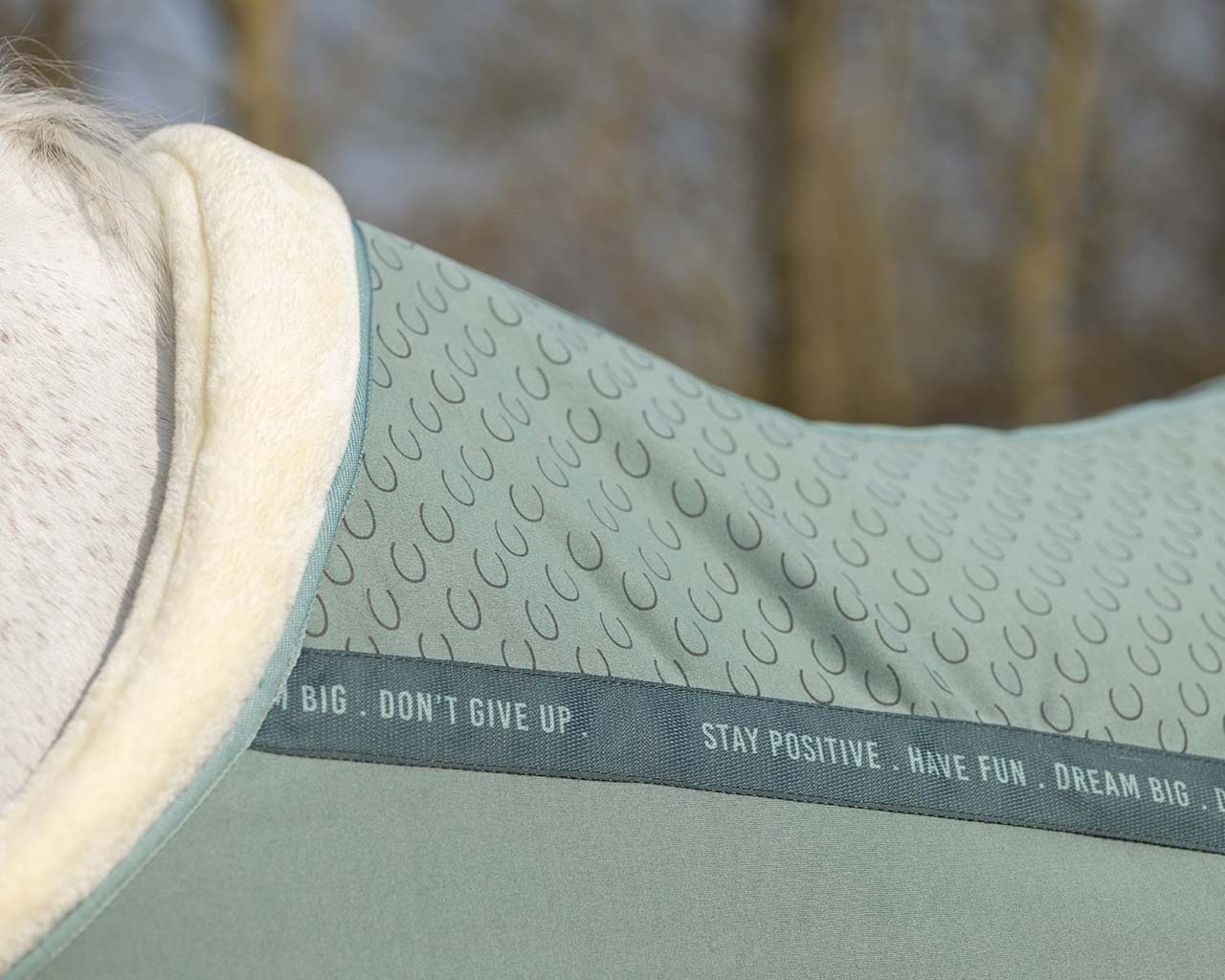 Show rug Equestrian Dream