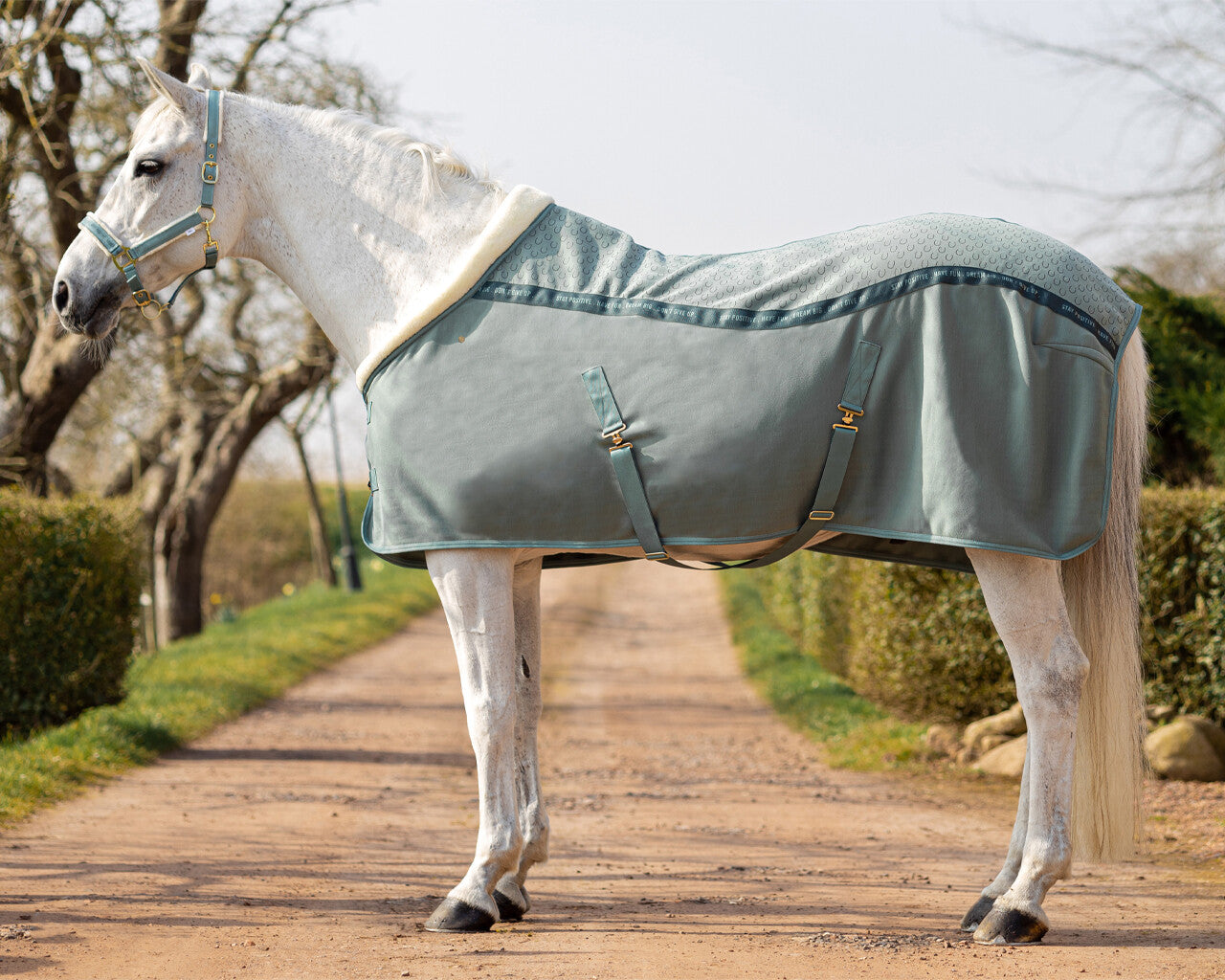 show rug equestrian dream