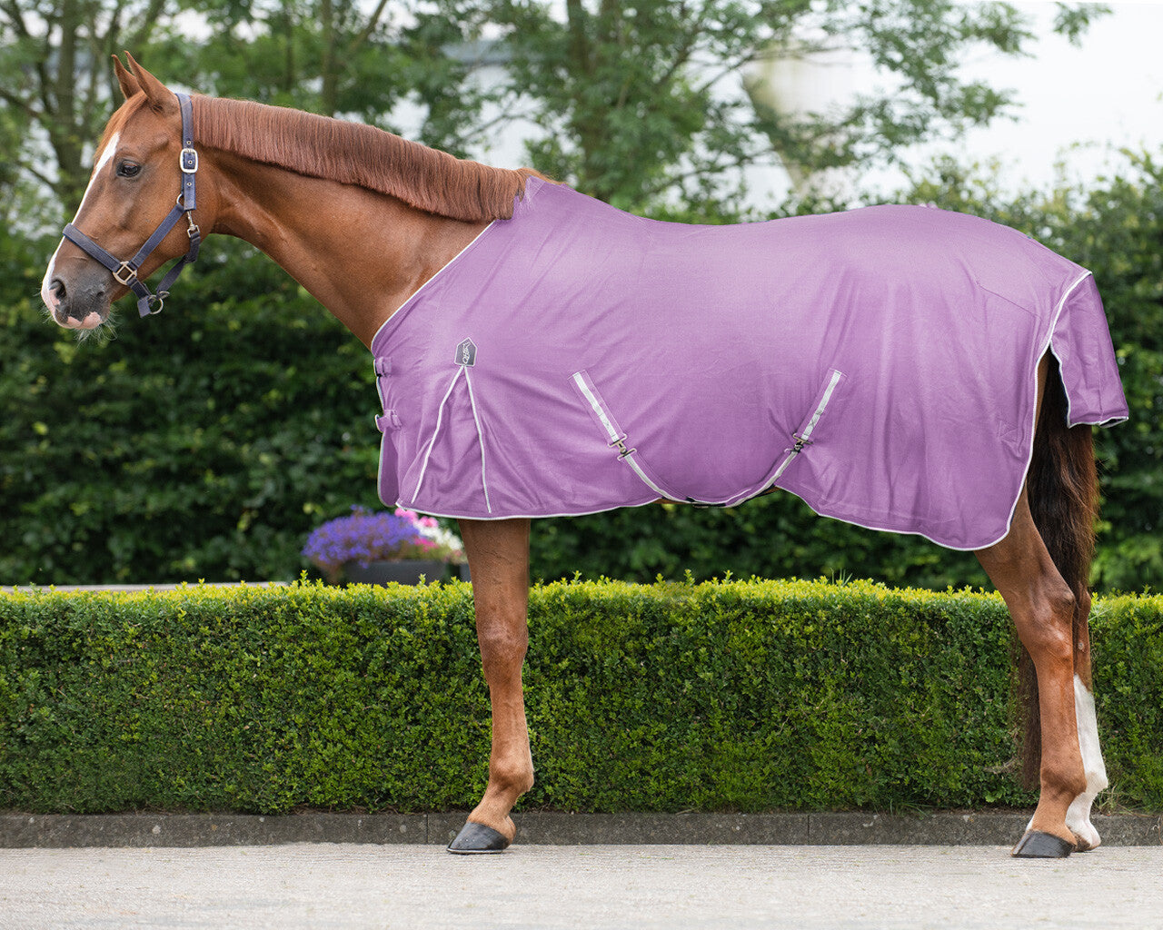 Fly sheet basic