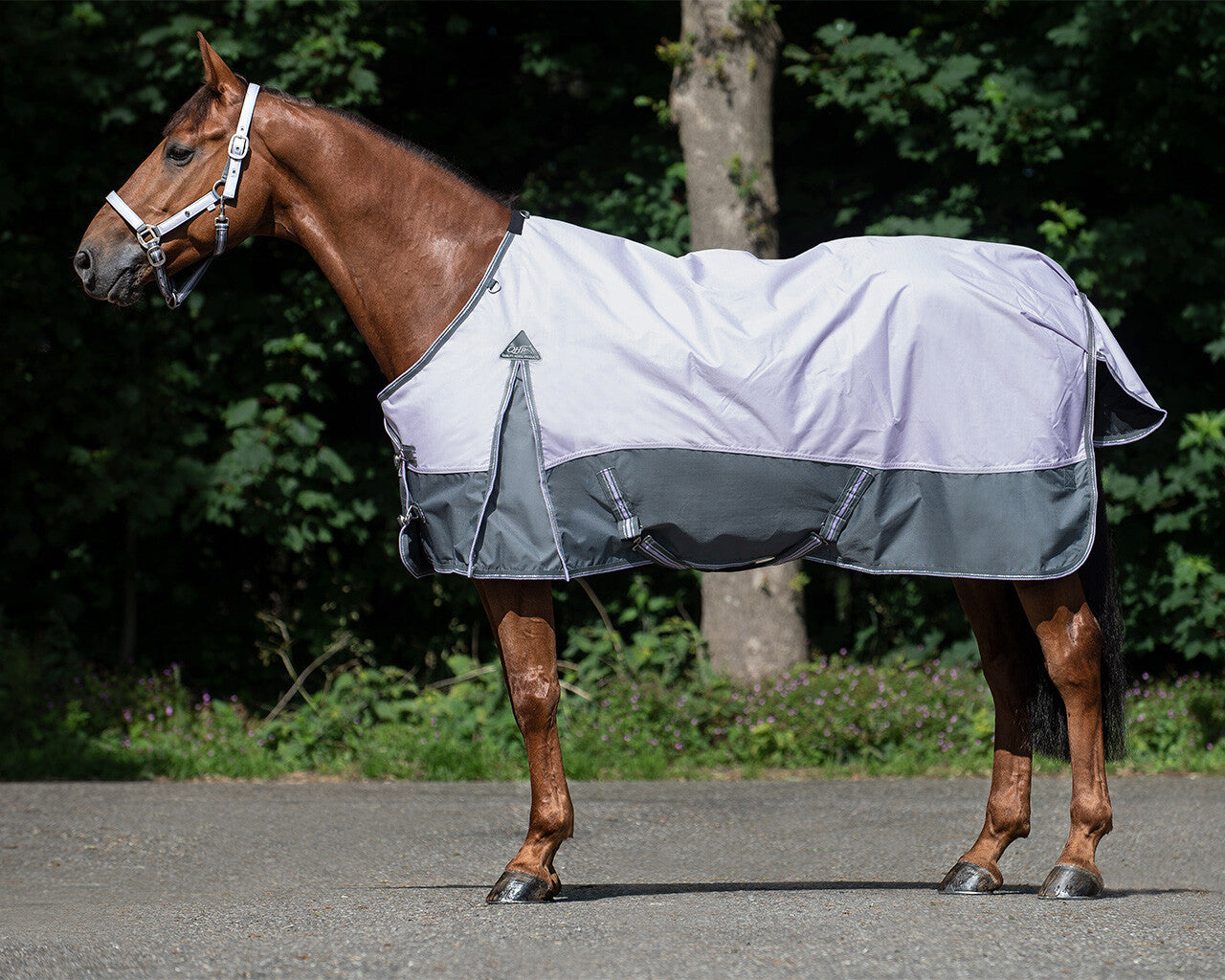 turnout rug collection 0gr