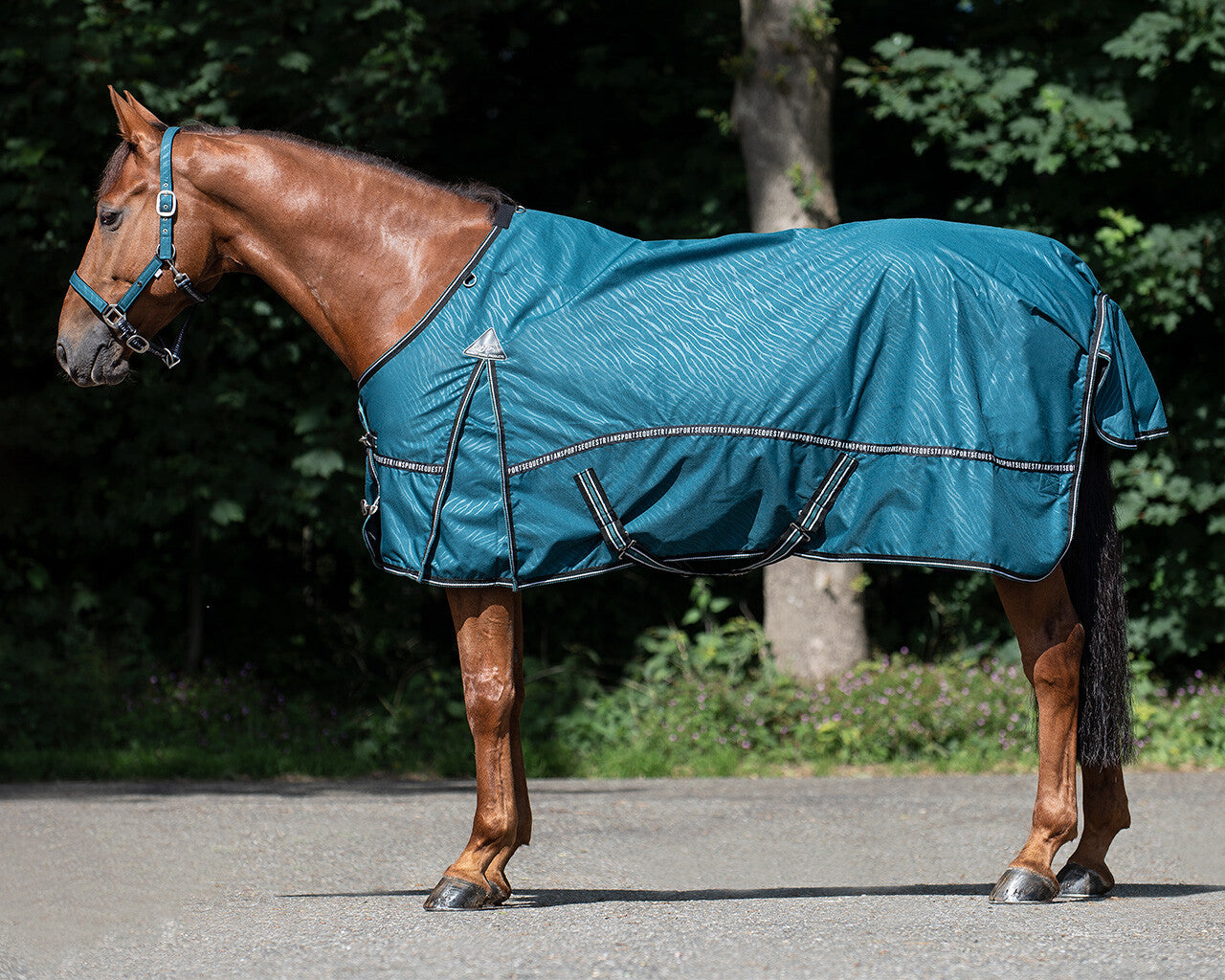 turnout rug collection 0gr