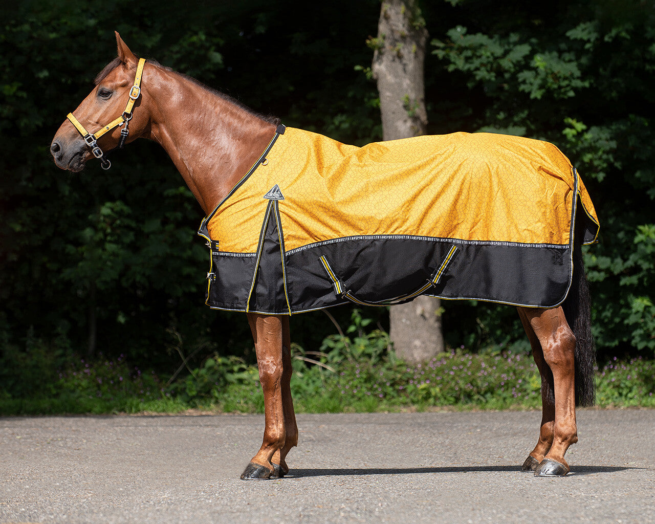 Turnout rug collection fleece lining