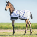 Foal rug turnout collection