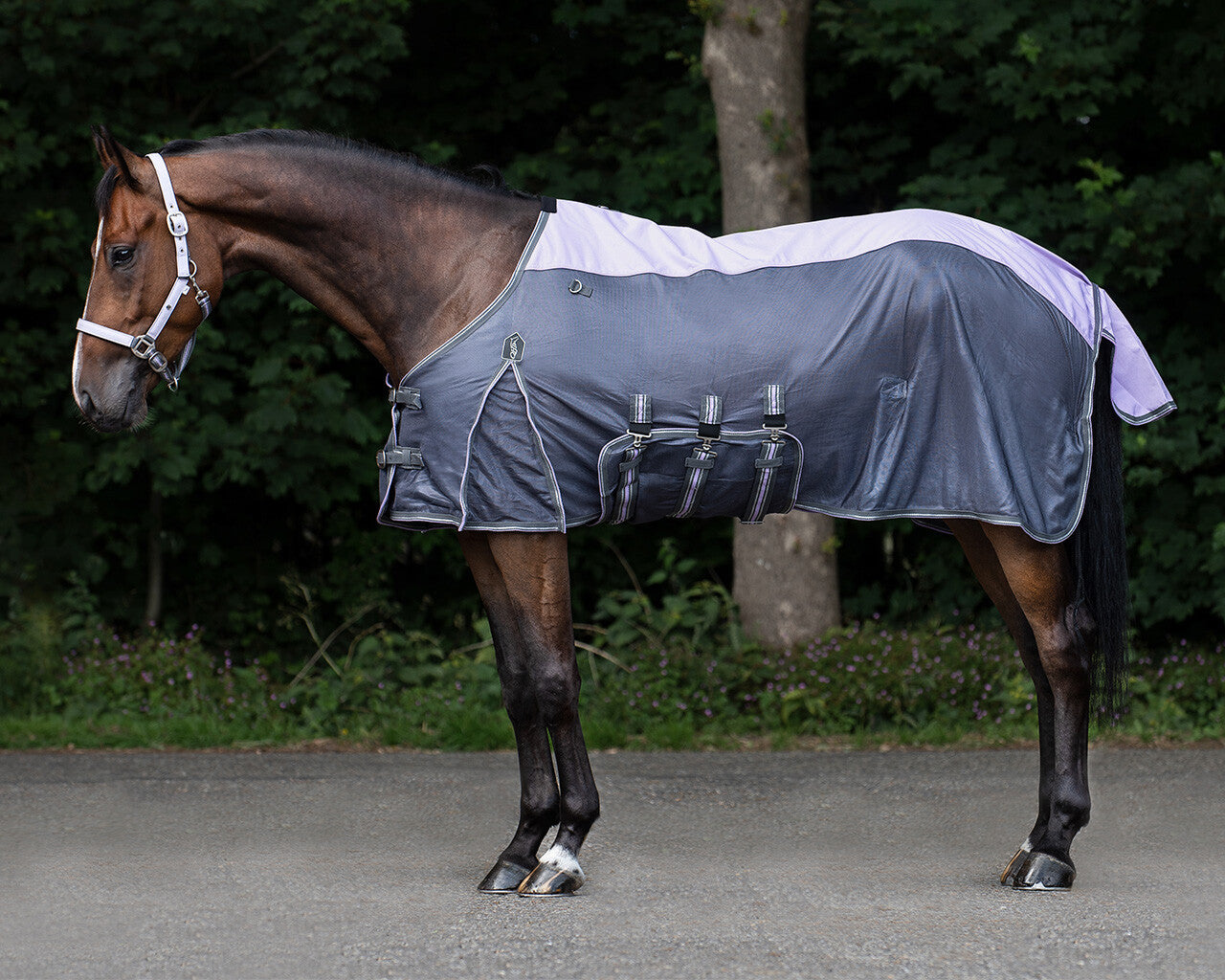 Anti-fly rug combo collection with neck