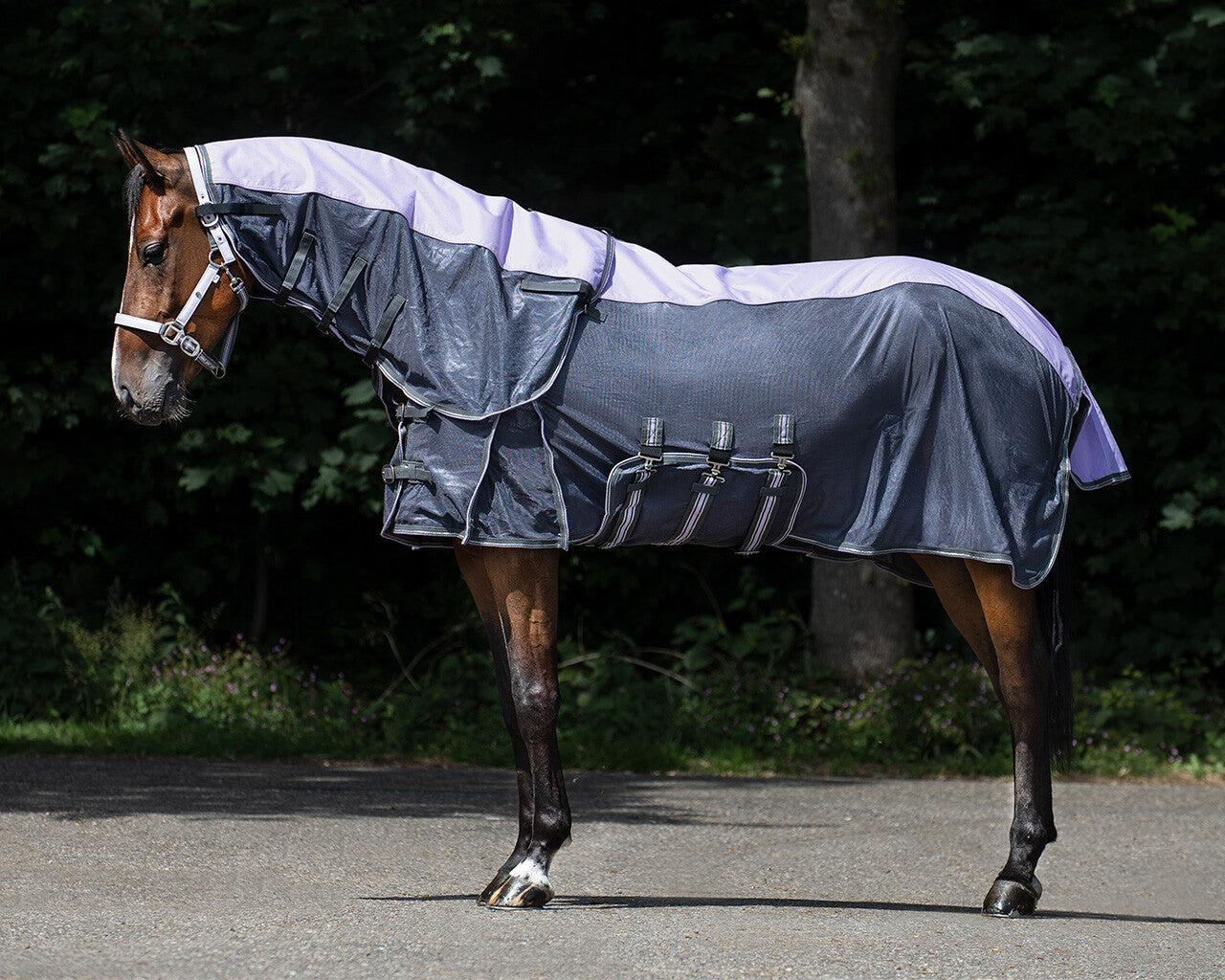 Anti-fly rug combo collection with neck