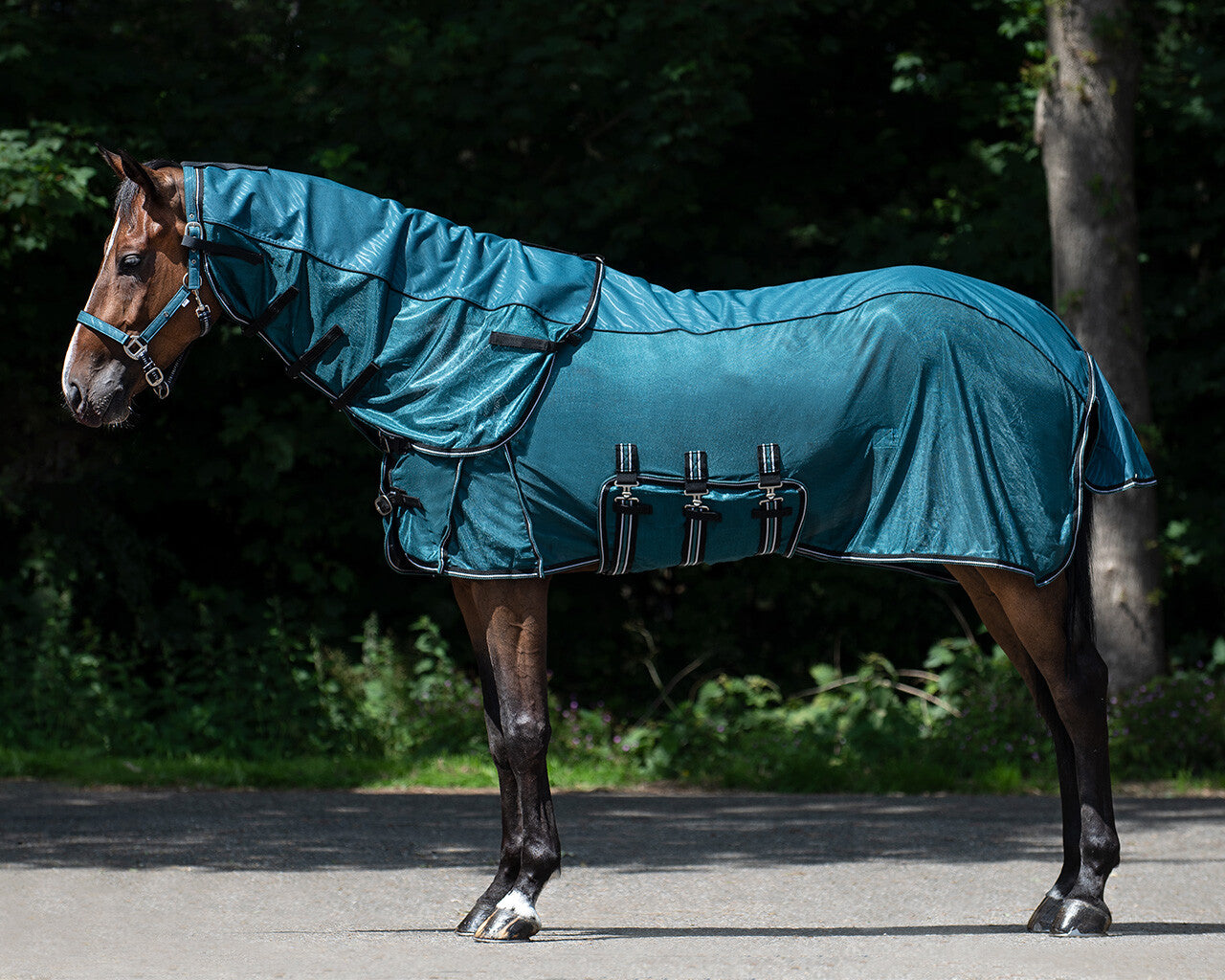 anti-fly rug combo collection with neck
