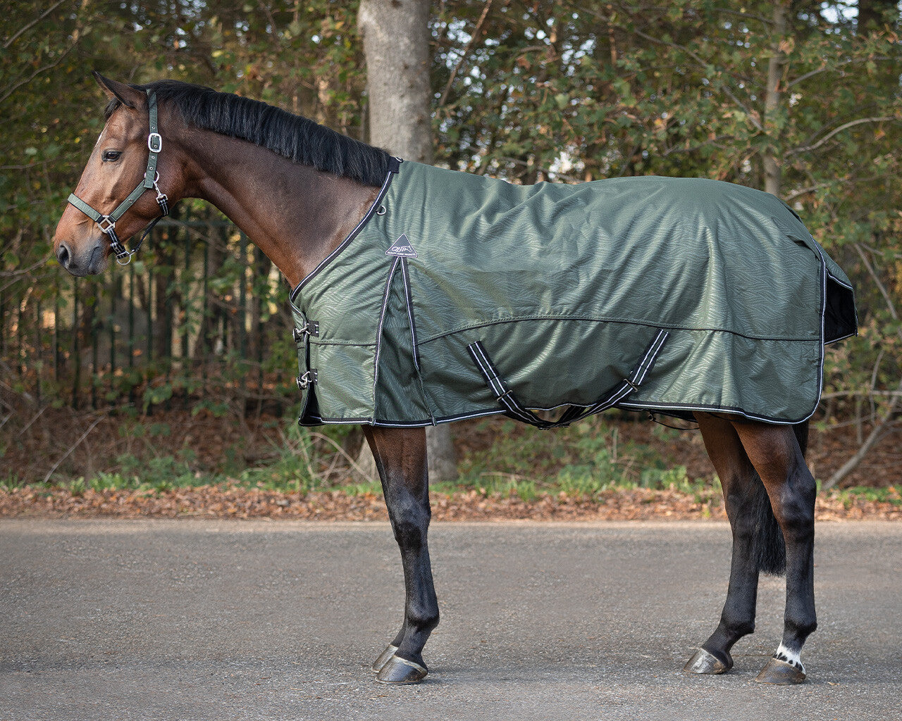Turnout rug collection  50gr