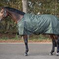 Turnout rug collection  50gr