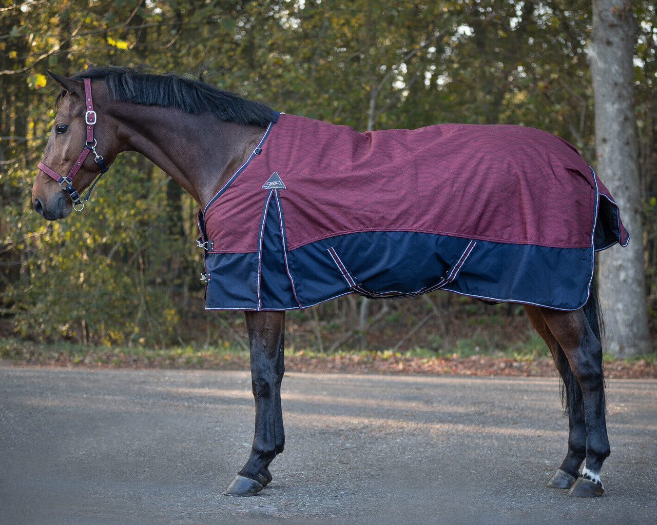 turnout rug collection 150gr
