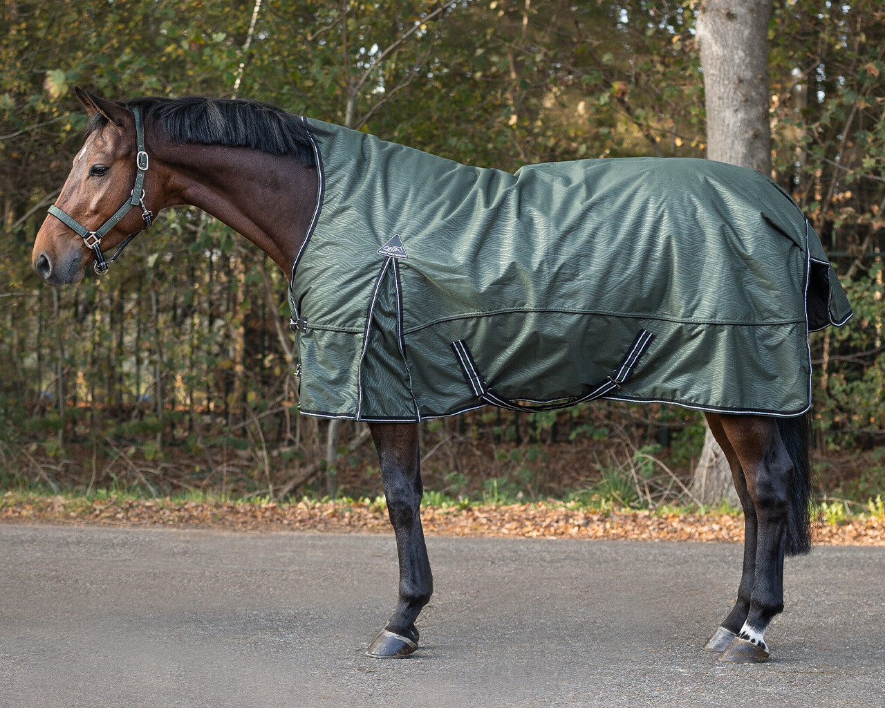turnout rug collection half neck 150gr