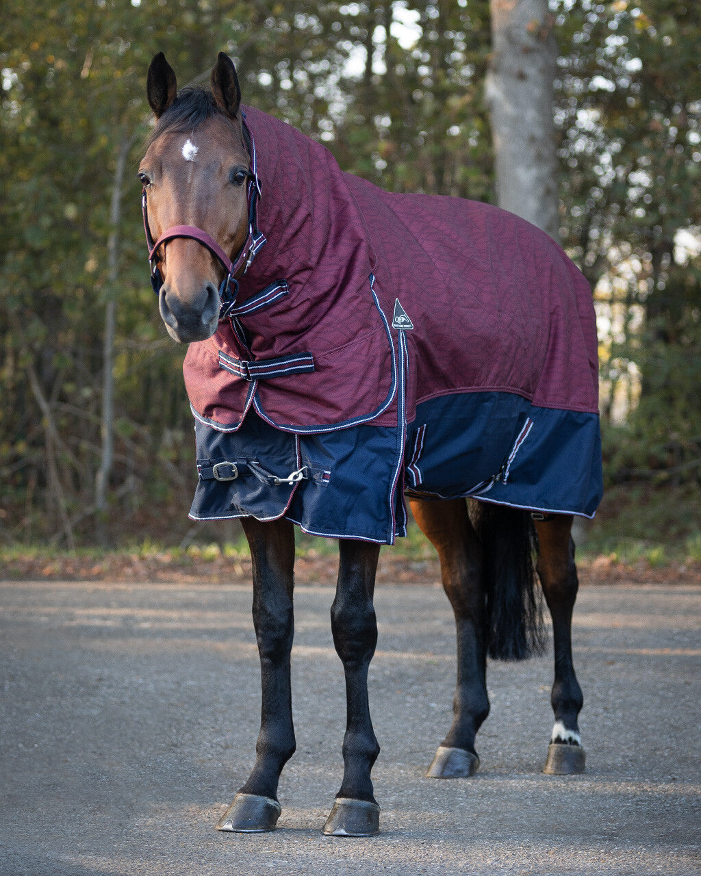 Turnout rug collection with neck 300gr