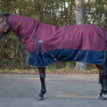 Turnout rug collection with neck 300gr