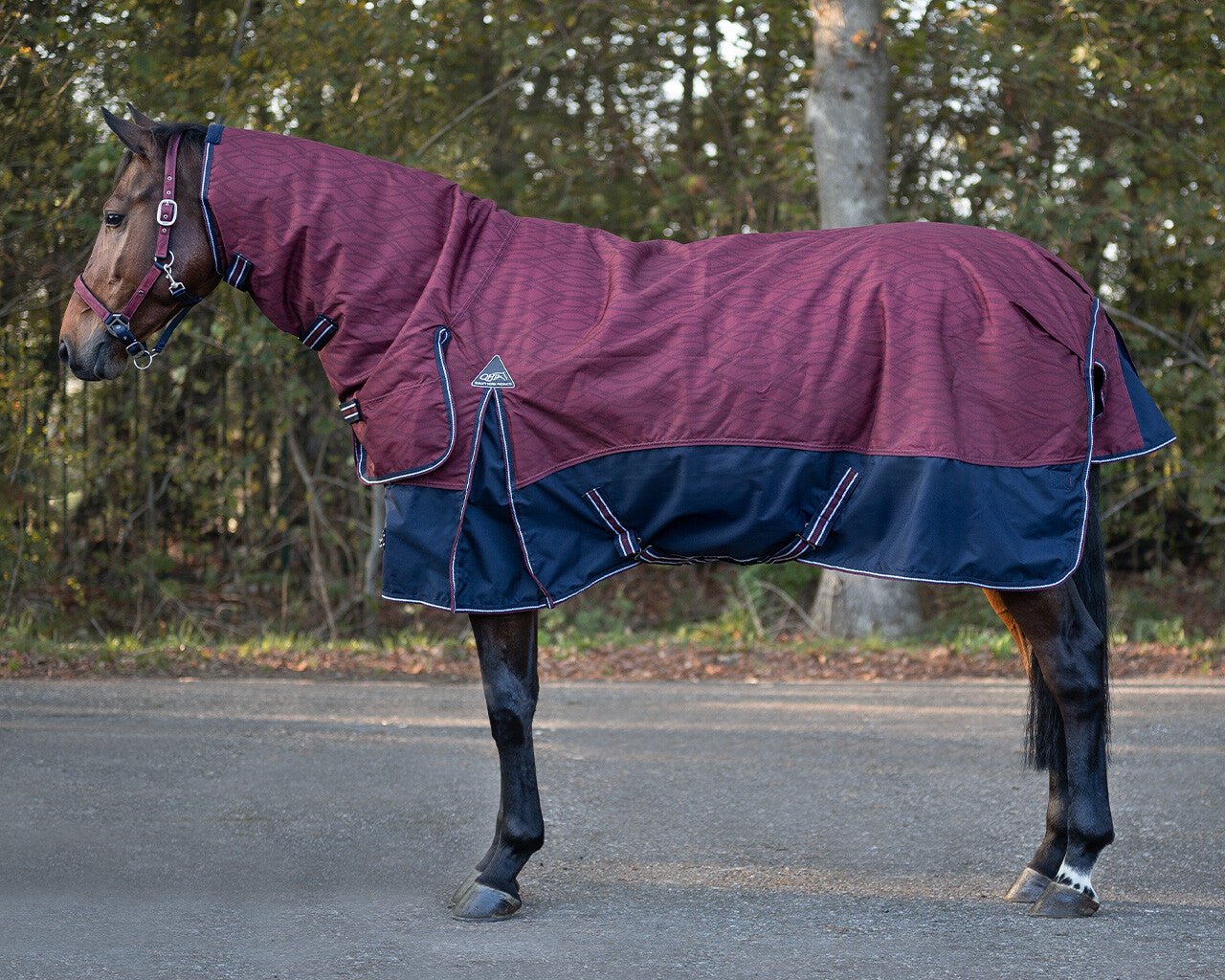 Turnout rug collection with neck 300gr