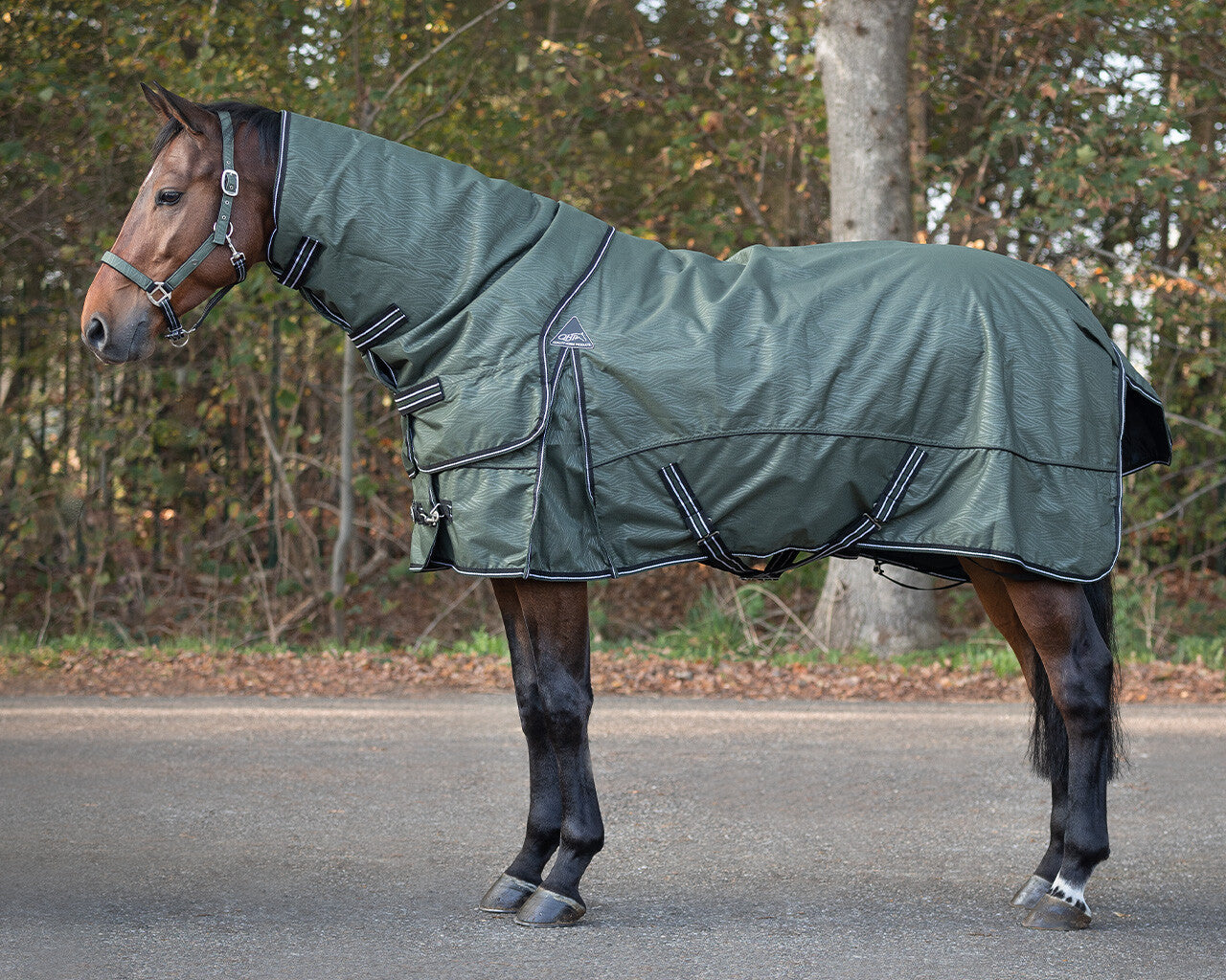 Turnout rug collection 150gr with detachable neck