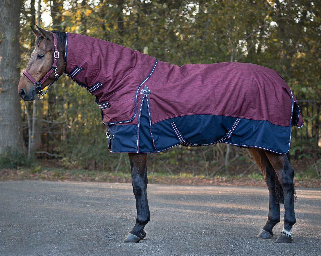 turnout rug collection 150gr with detachable neck