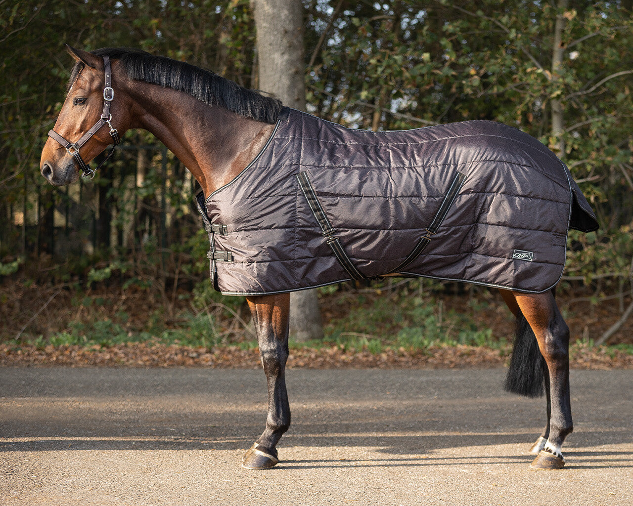 stable rug start collection 200gr