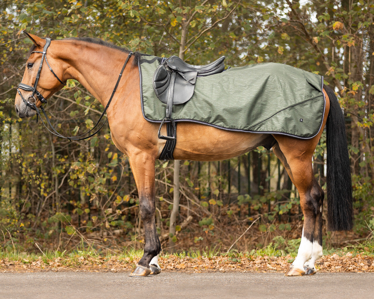 Exercise sheet turnout collection fleece