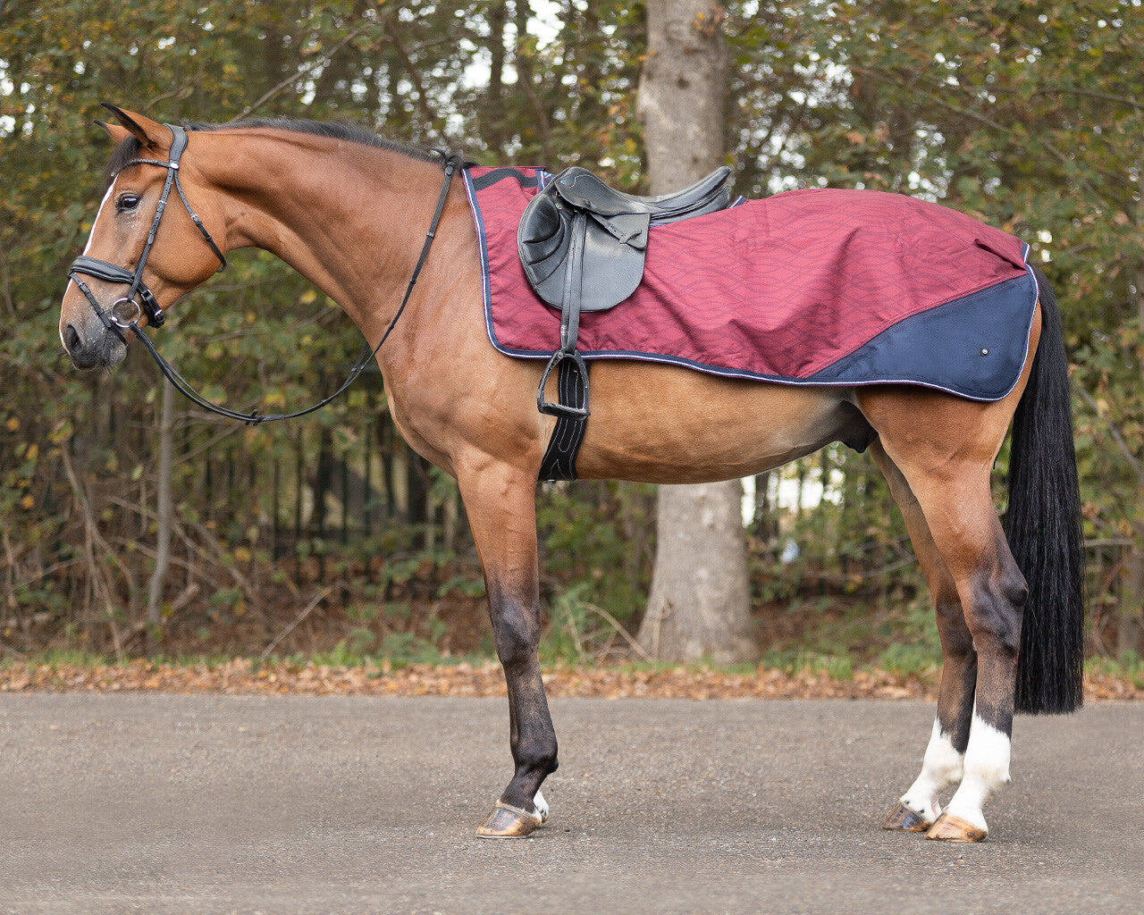 exercise sheet turnout collection fleece