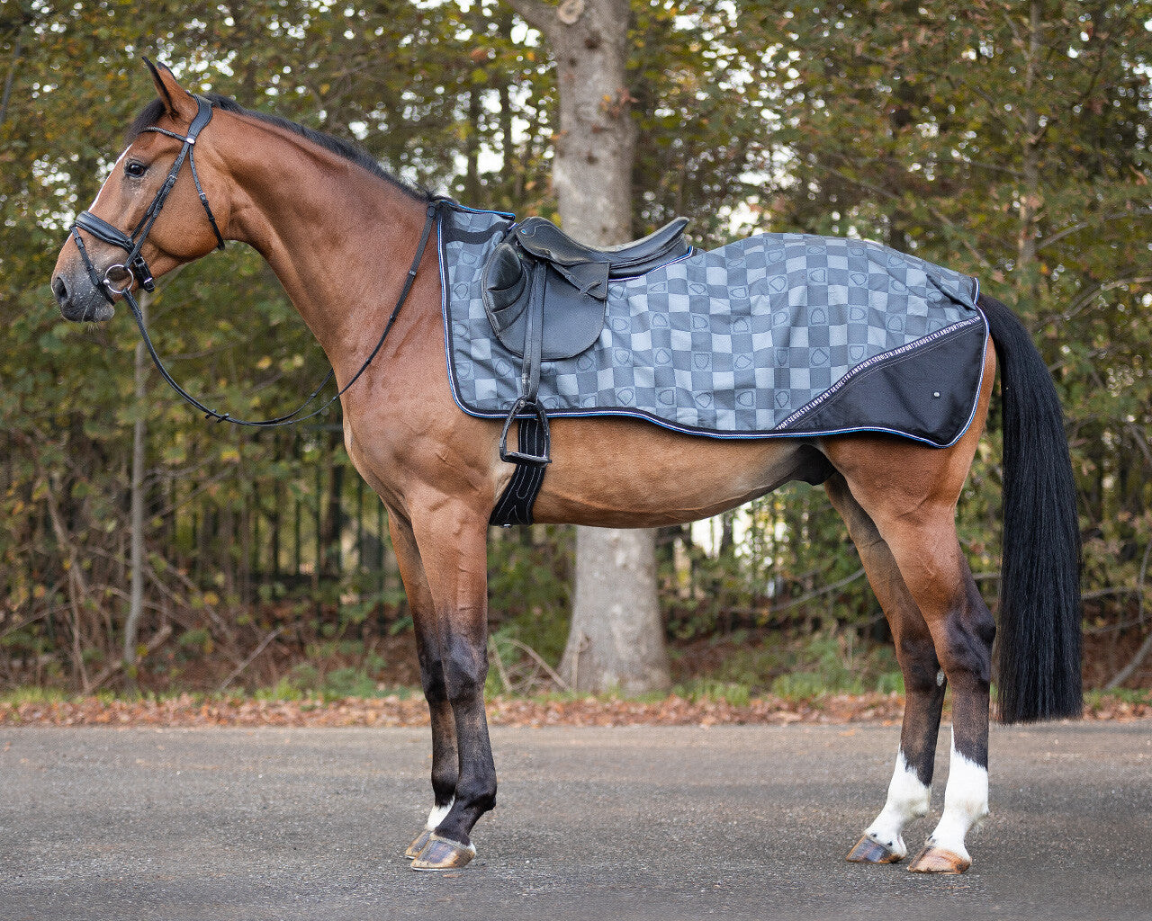 exercise sheet turnout collection fleece