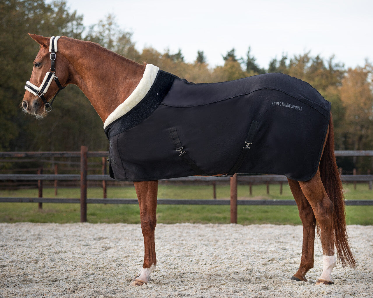 show rug julin