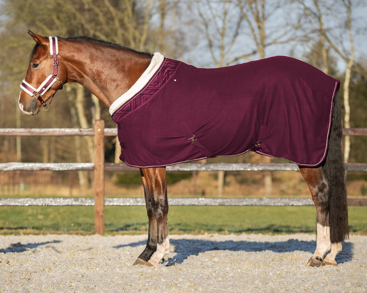 show rug menton