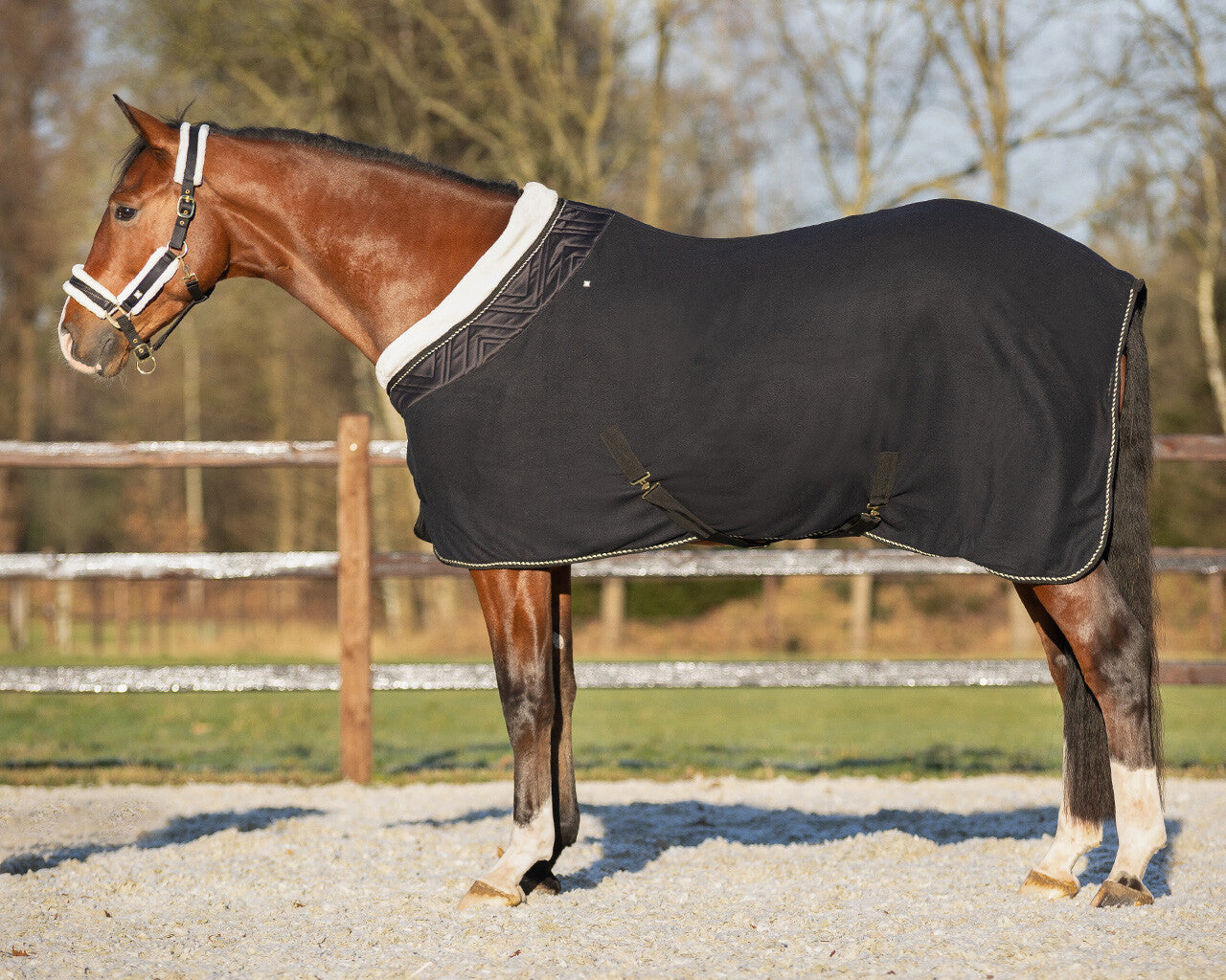 Show rug Menton