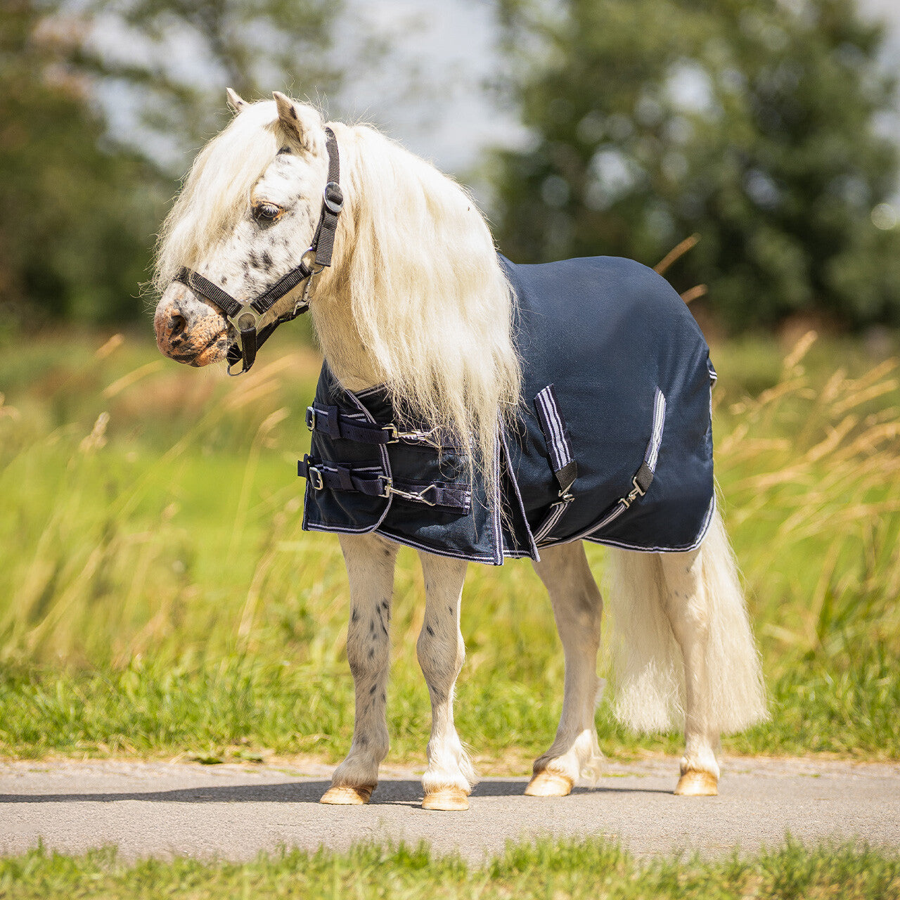 Turnout rug falabella 200gr
