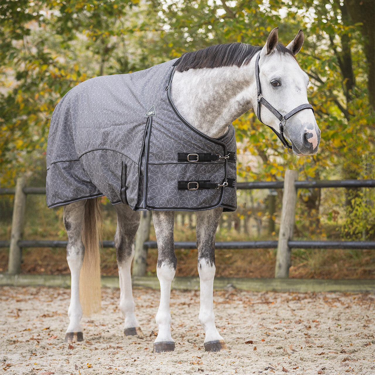 Turnout rug 1200D collection 50gr