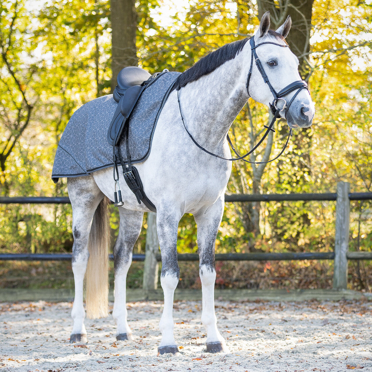 Exercise sheet 1200D turnout collection fleece