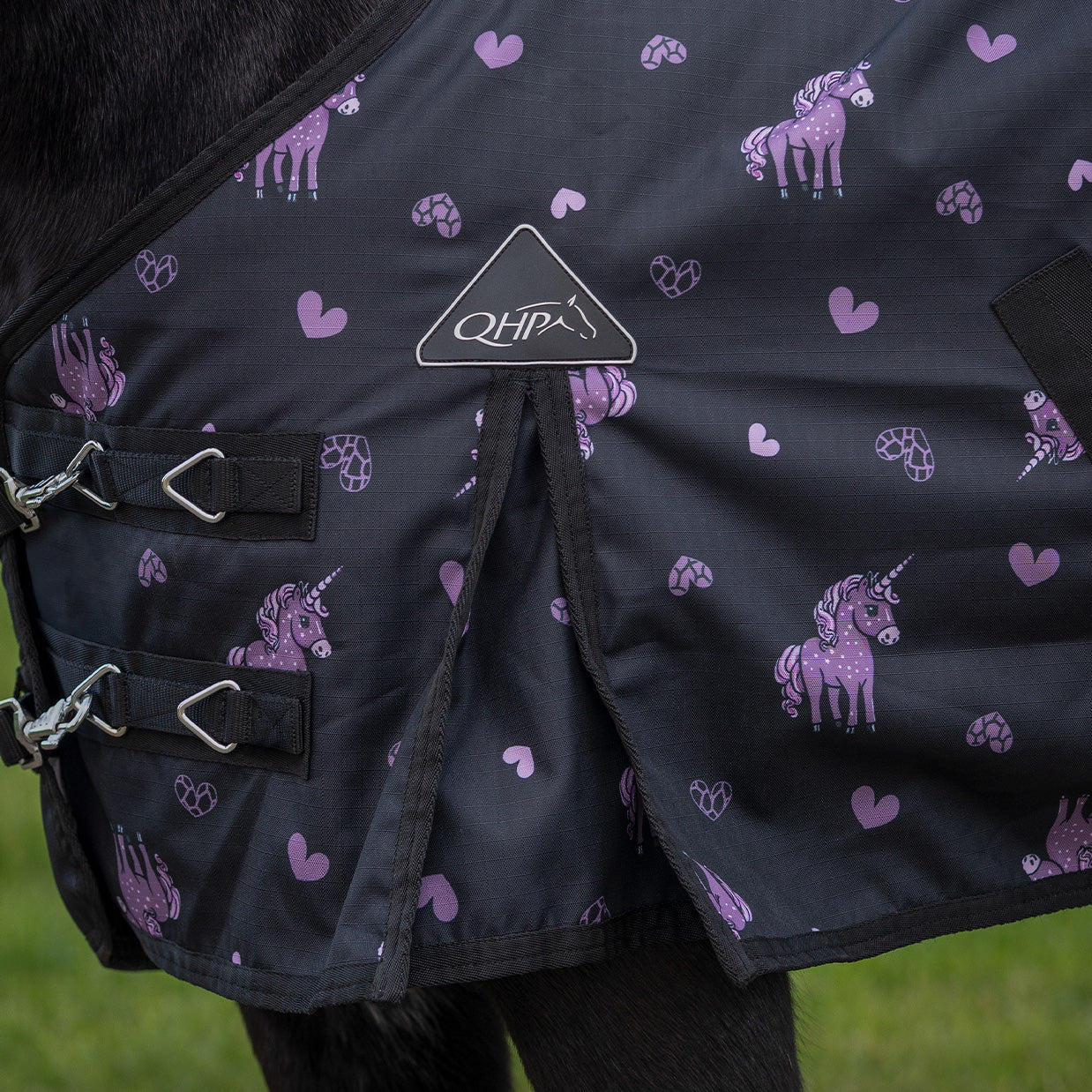Turnout rug Lize 100gr Black/violet / 95
