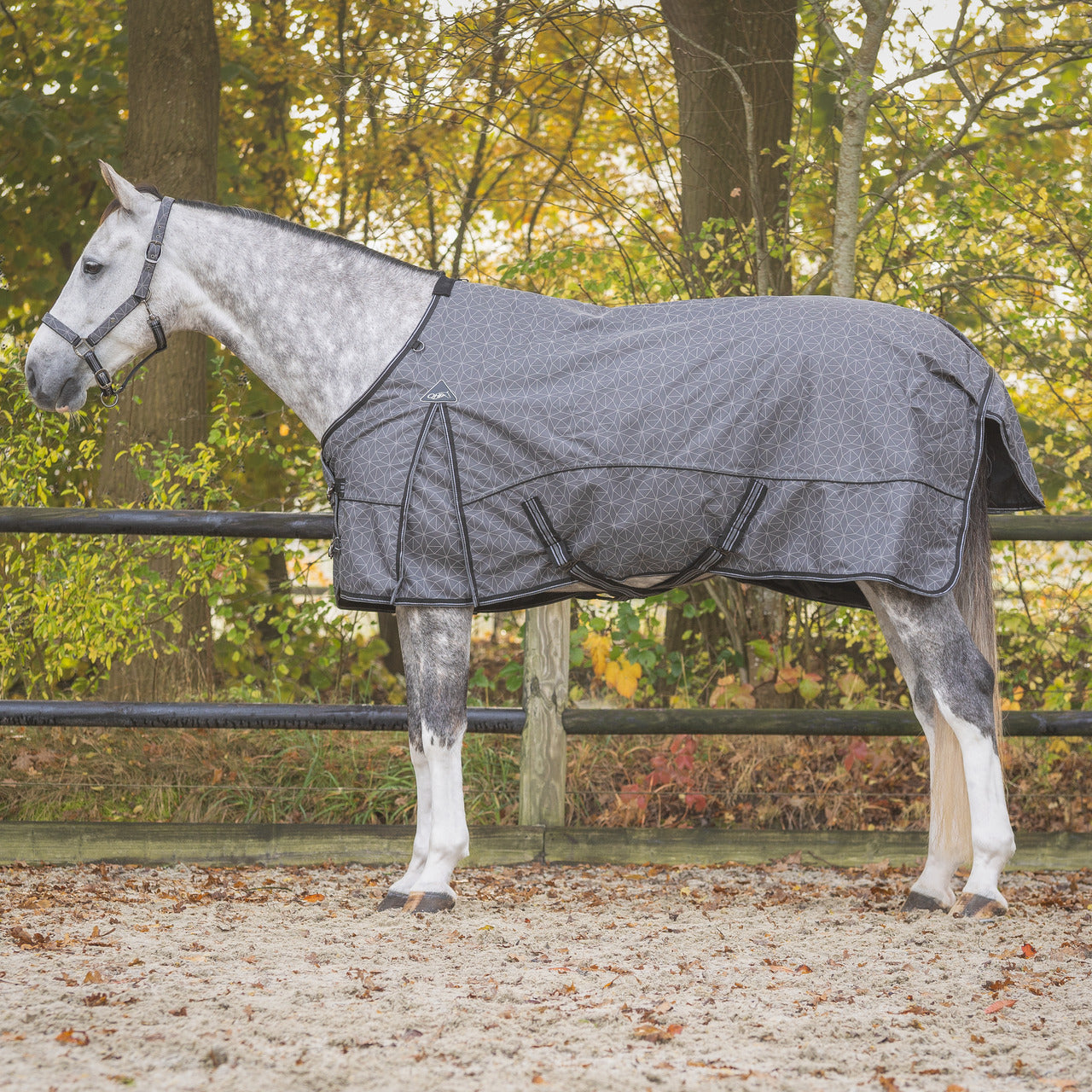 Turnout rug 1200D collection 300gr