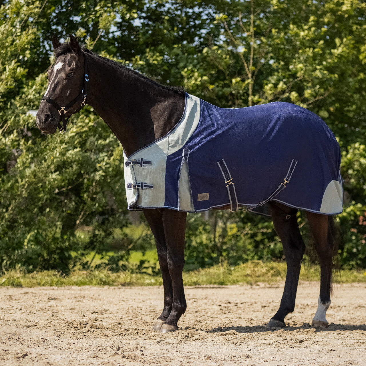 Fly rug