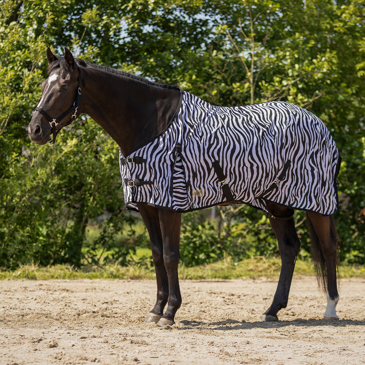 Fly rug