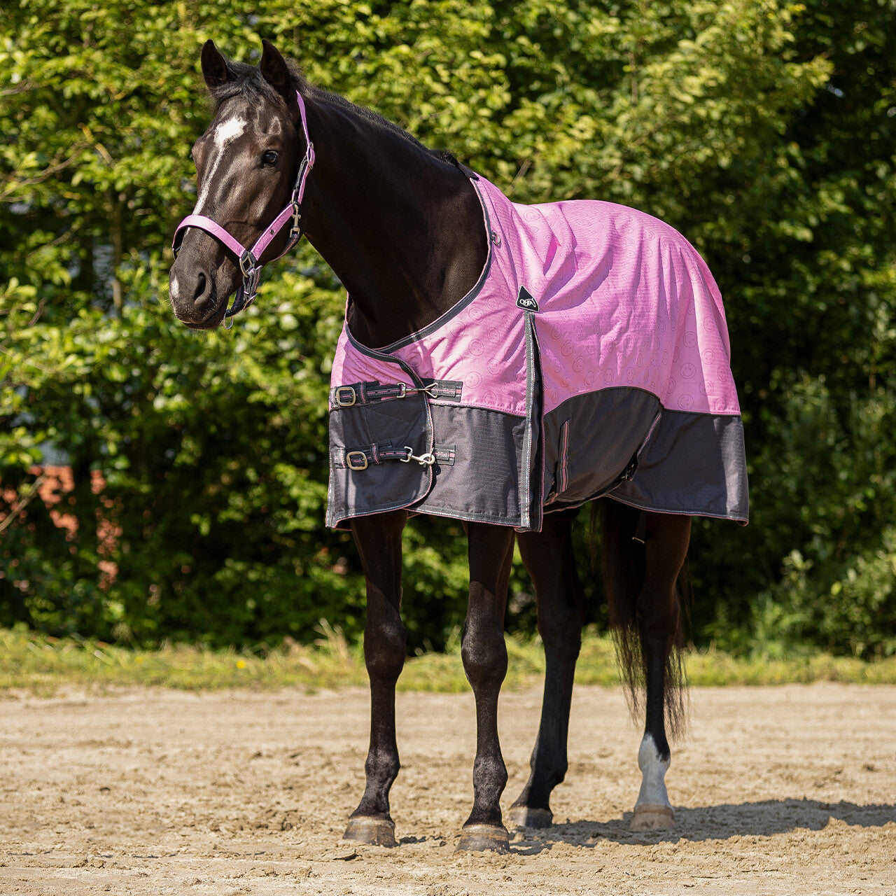 Turnout rug collection 0gr