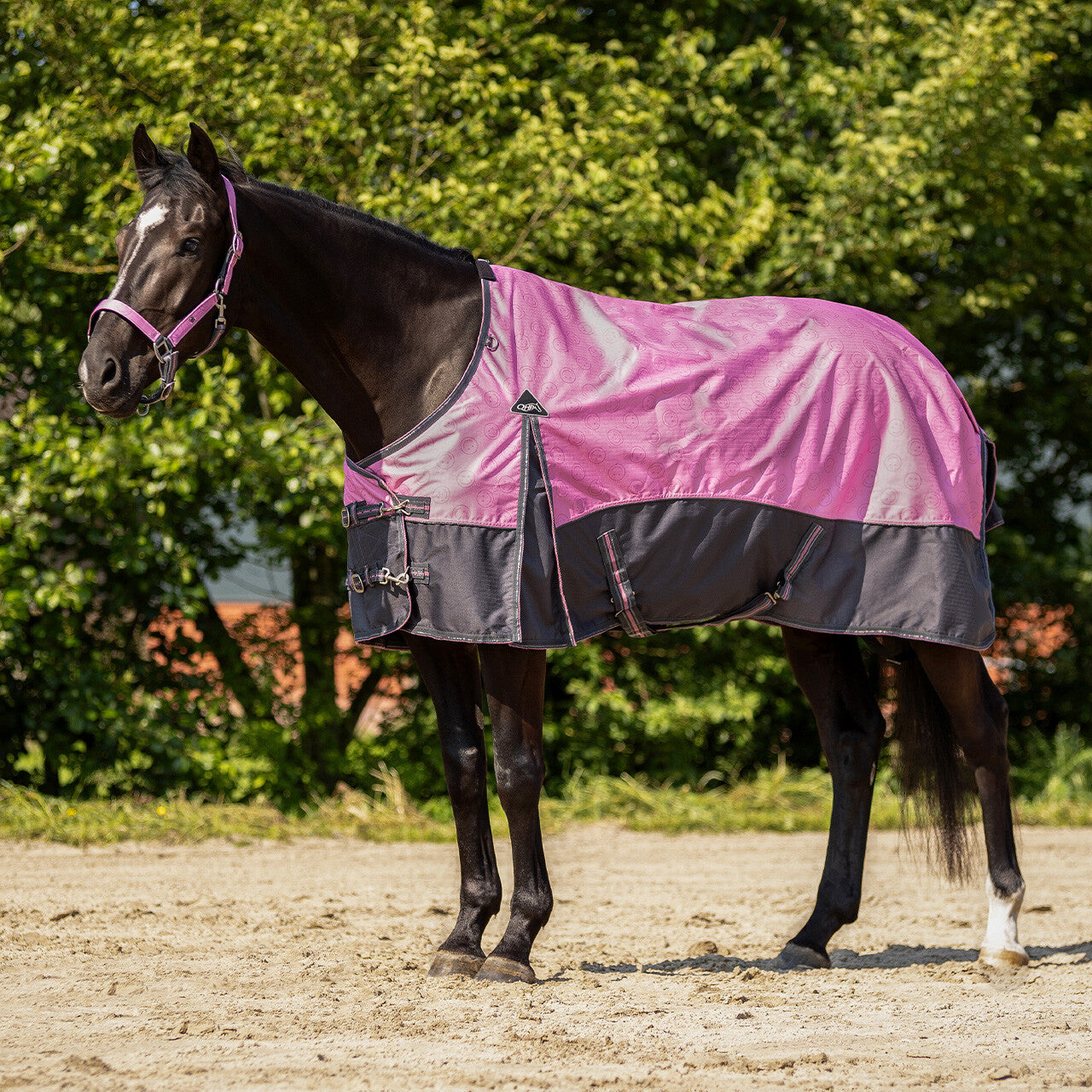 Turnout rug collection 0gr