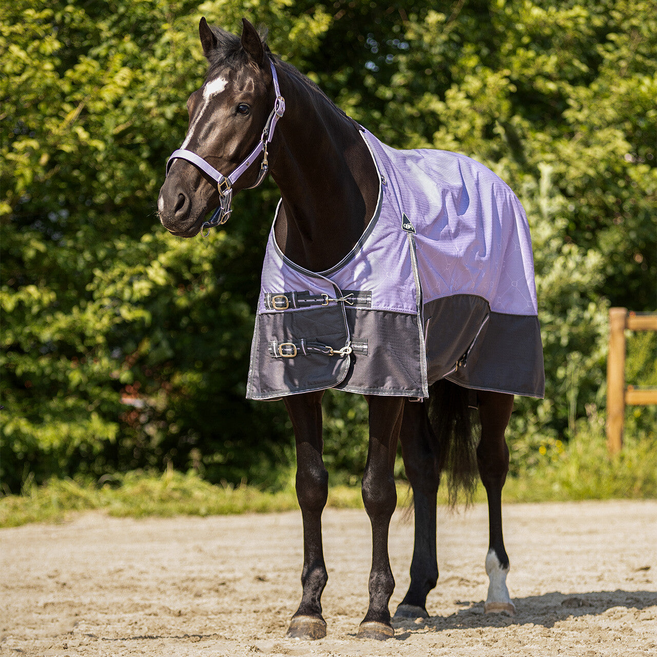 Turnout rug collection 0gr