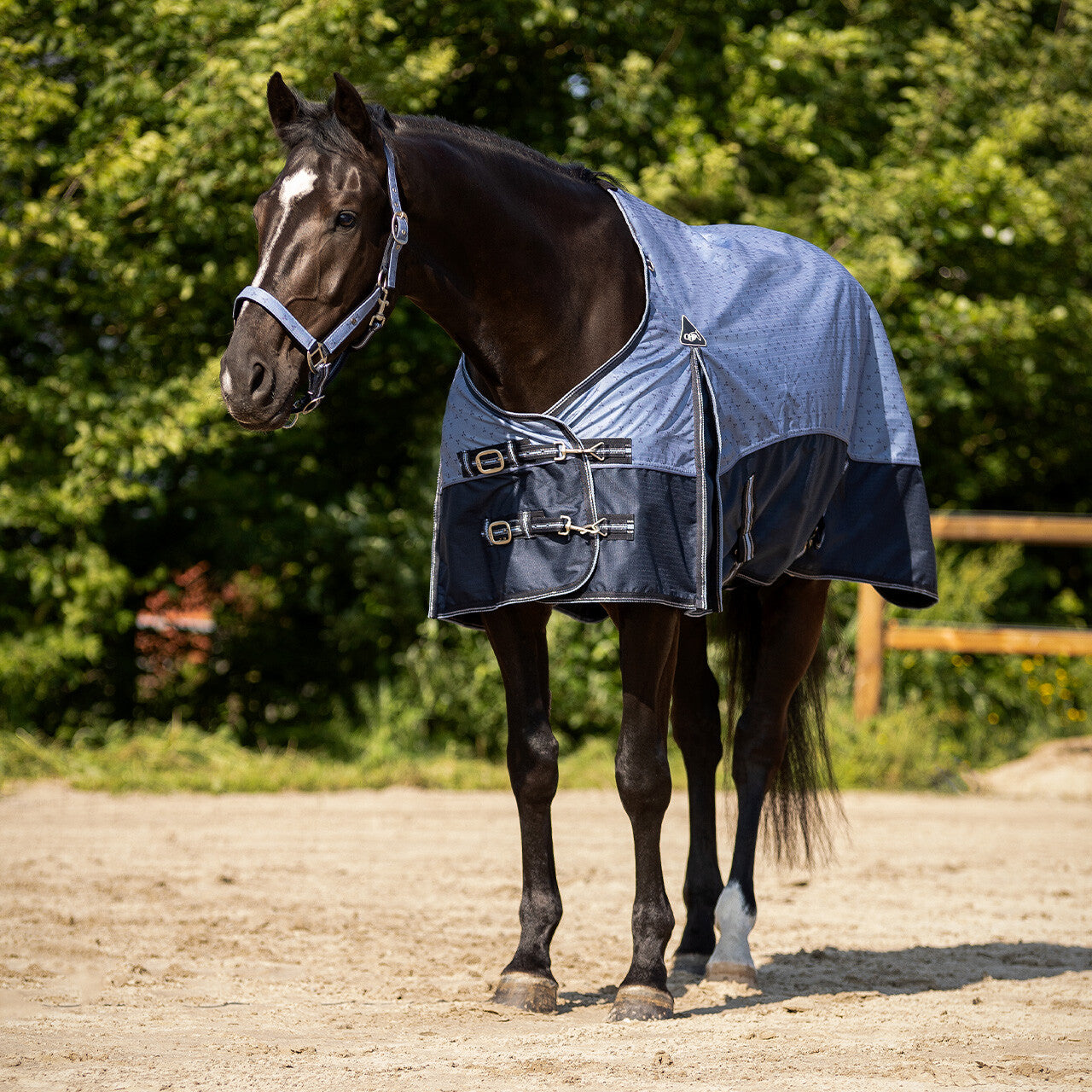 Turnout rug collection 0gr