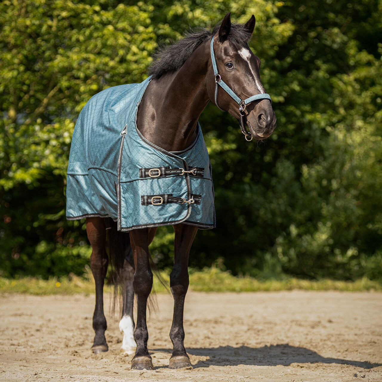 Turnout rug collection 0gr