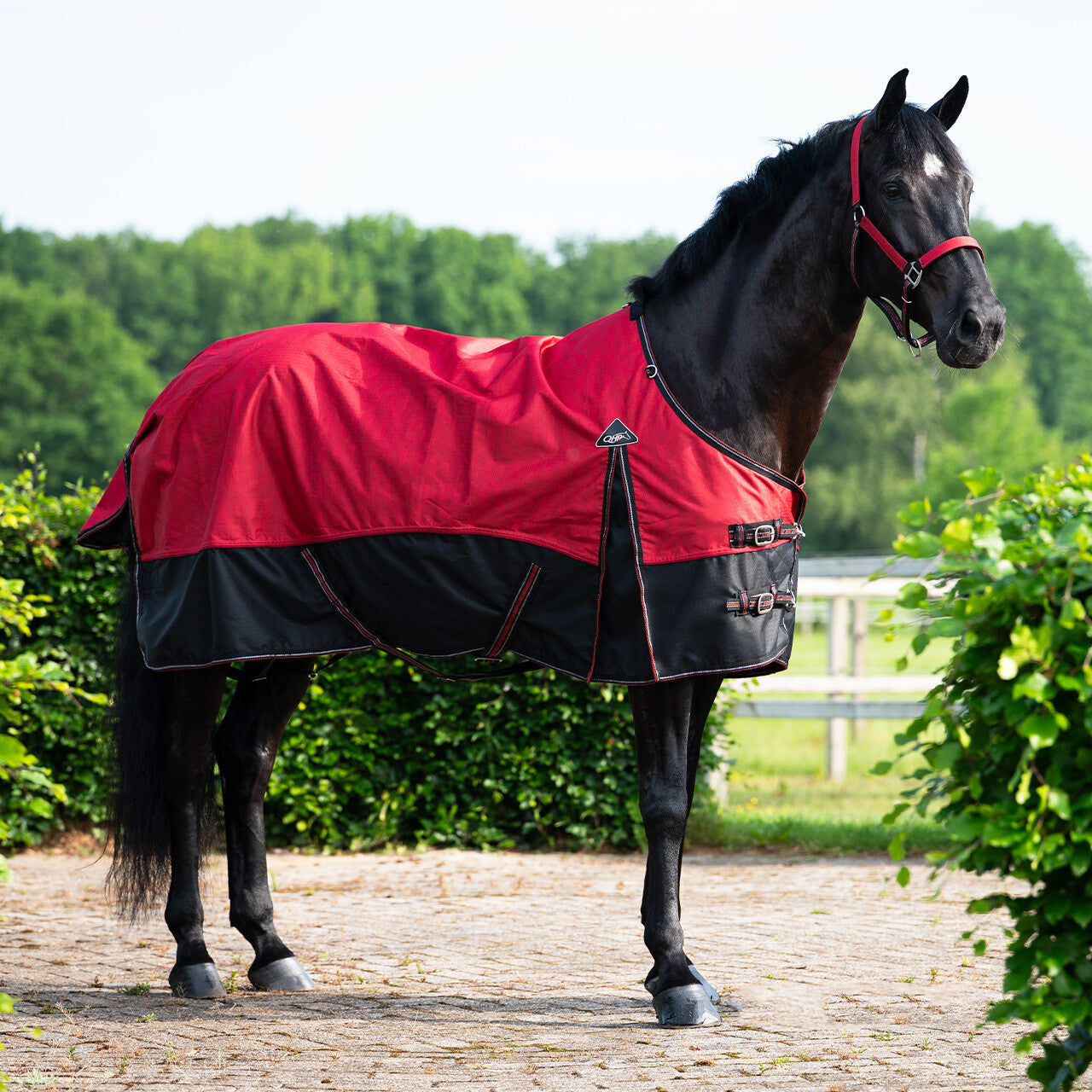 Turnout rug collection 0gr