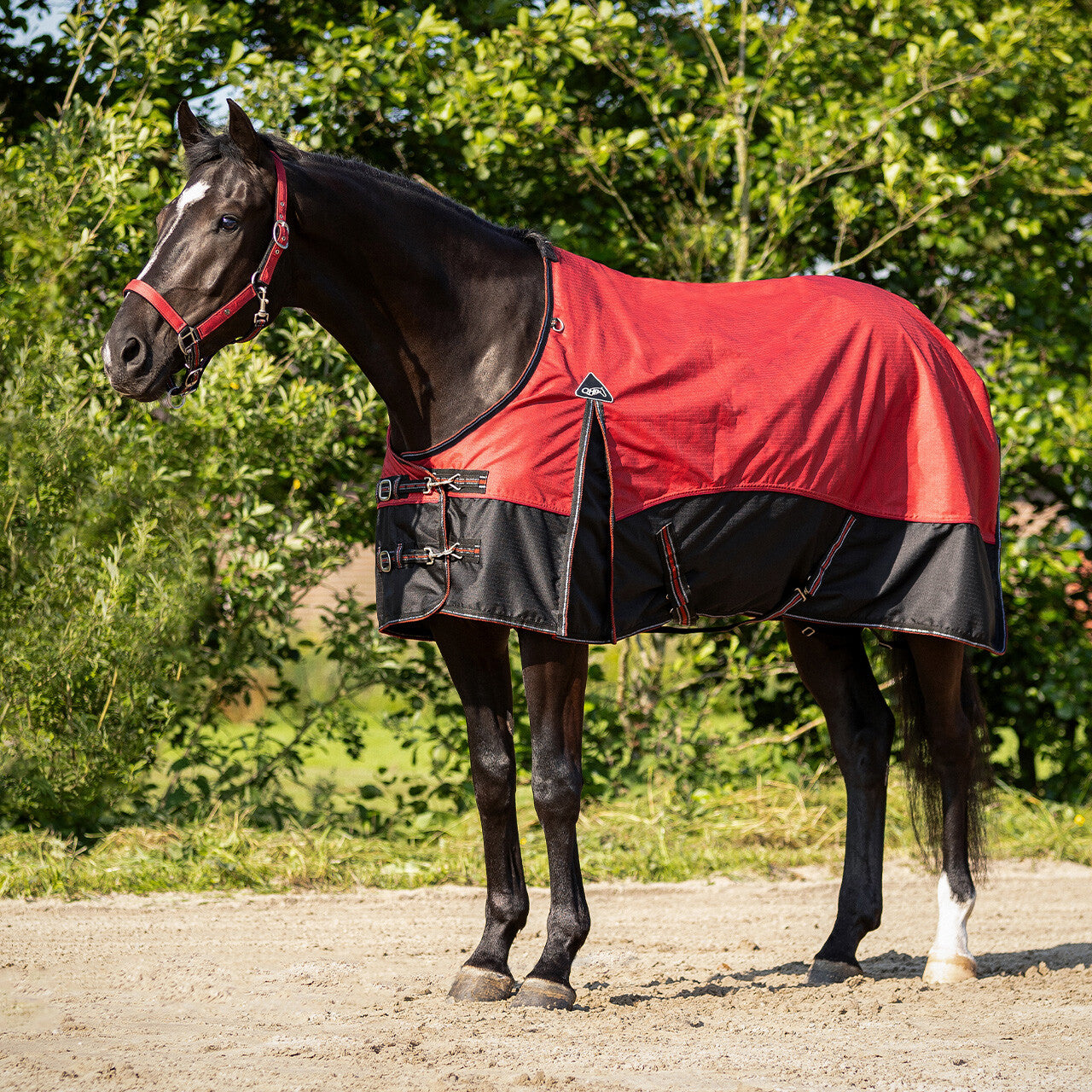 Turnout rug collection 0gr