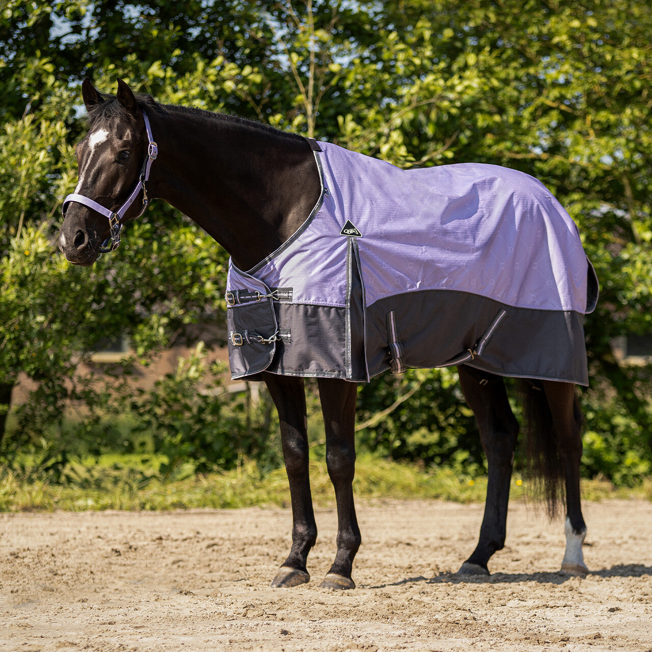 Turnout rug collection fleece lining