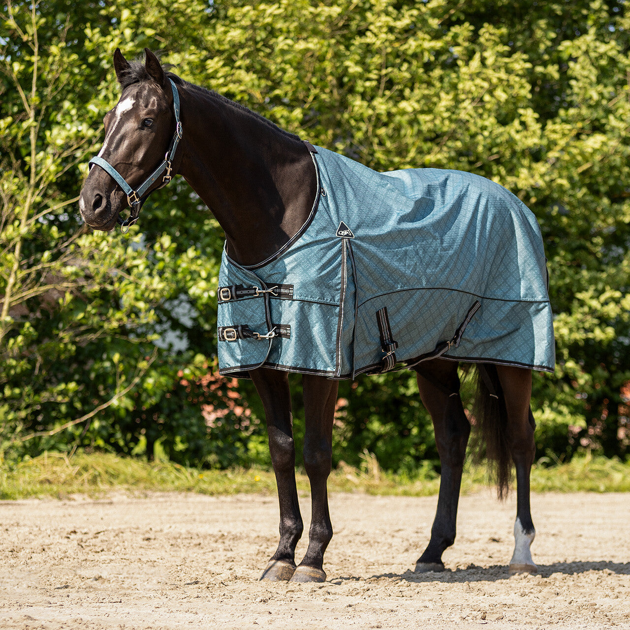 Turnout rug collection fleece lining