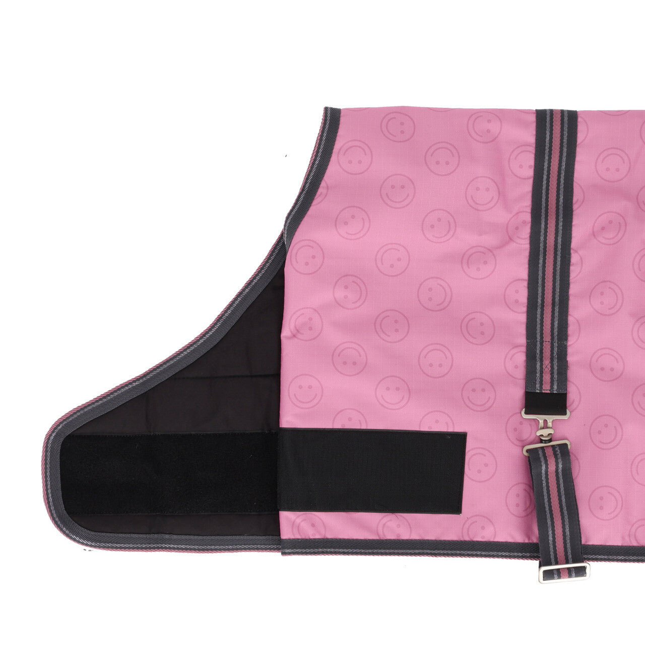 Foal rug turnout collection
