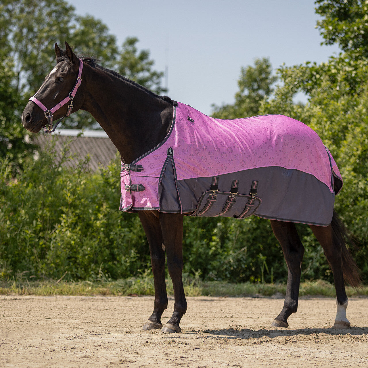 Fly sheet collection with detachable neck and mask
