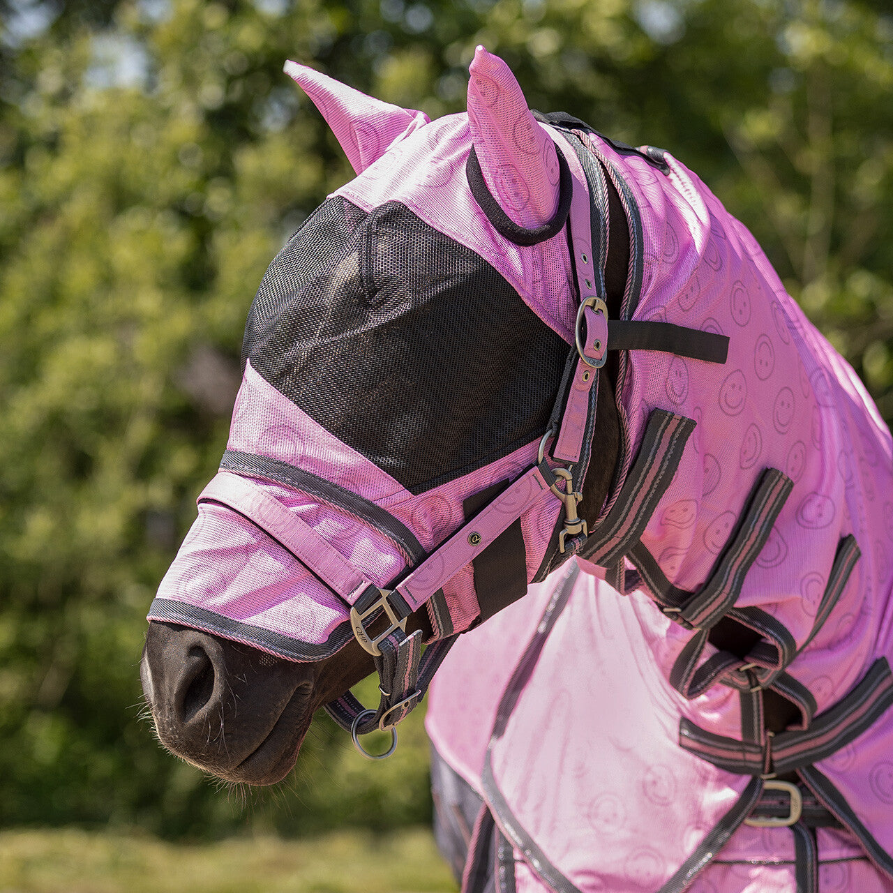Fly sheet collection with detachable neck and mask