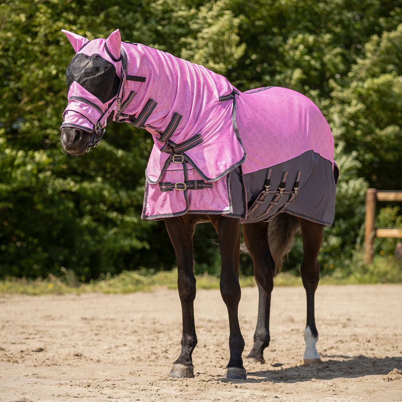 Fly sheet collection with detachable neck and mask