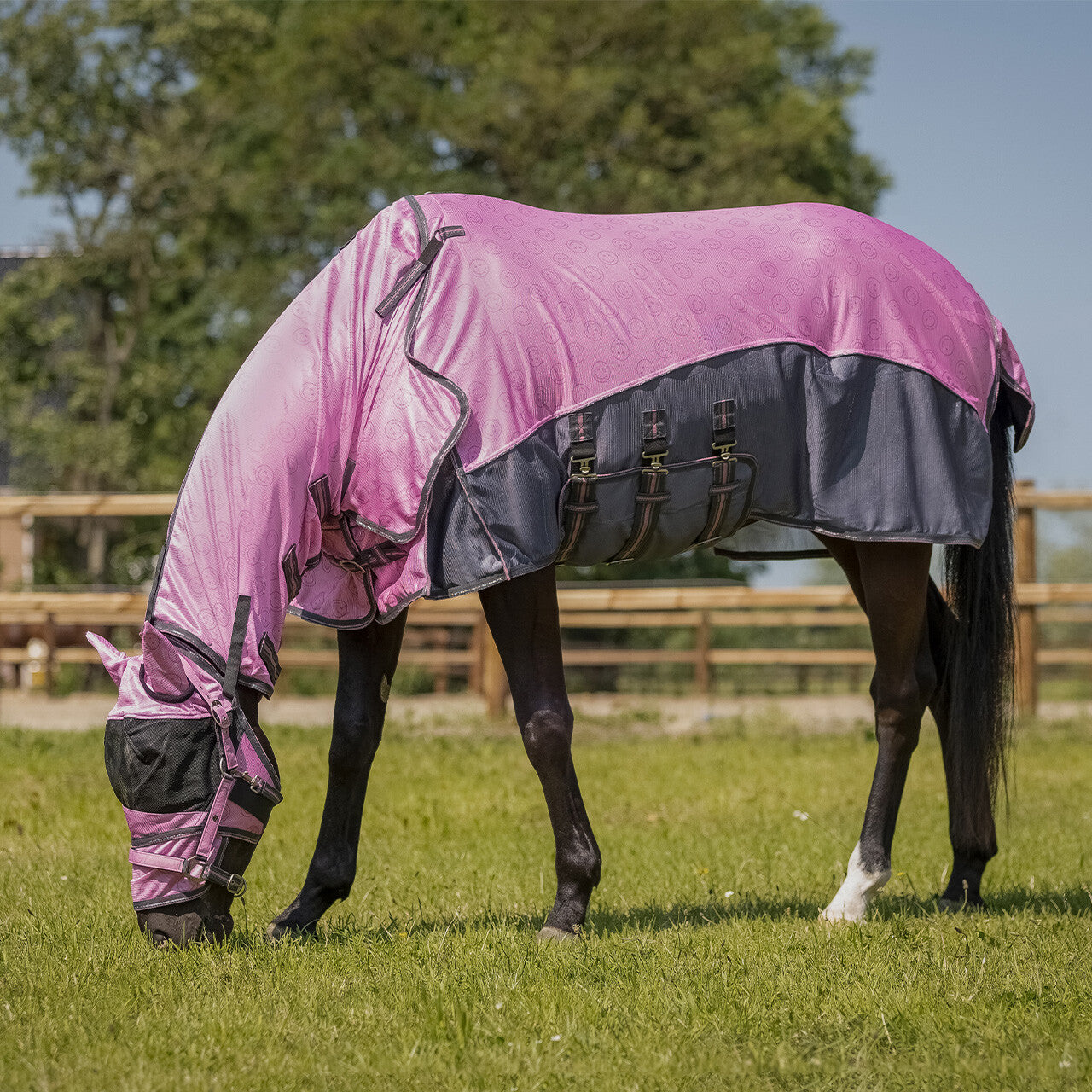 Fly sheet collection with detachable neck and mask