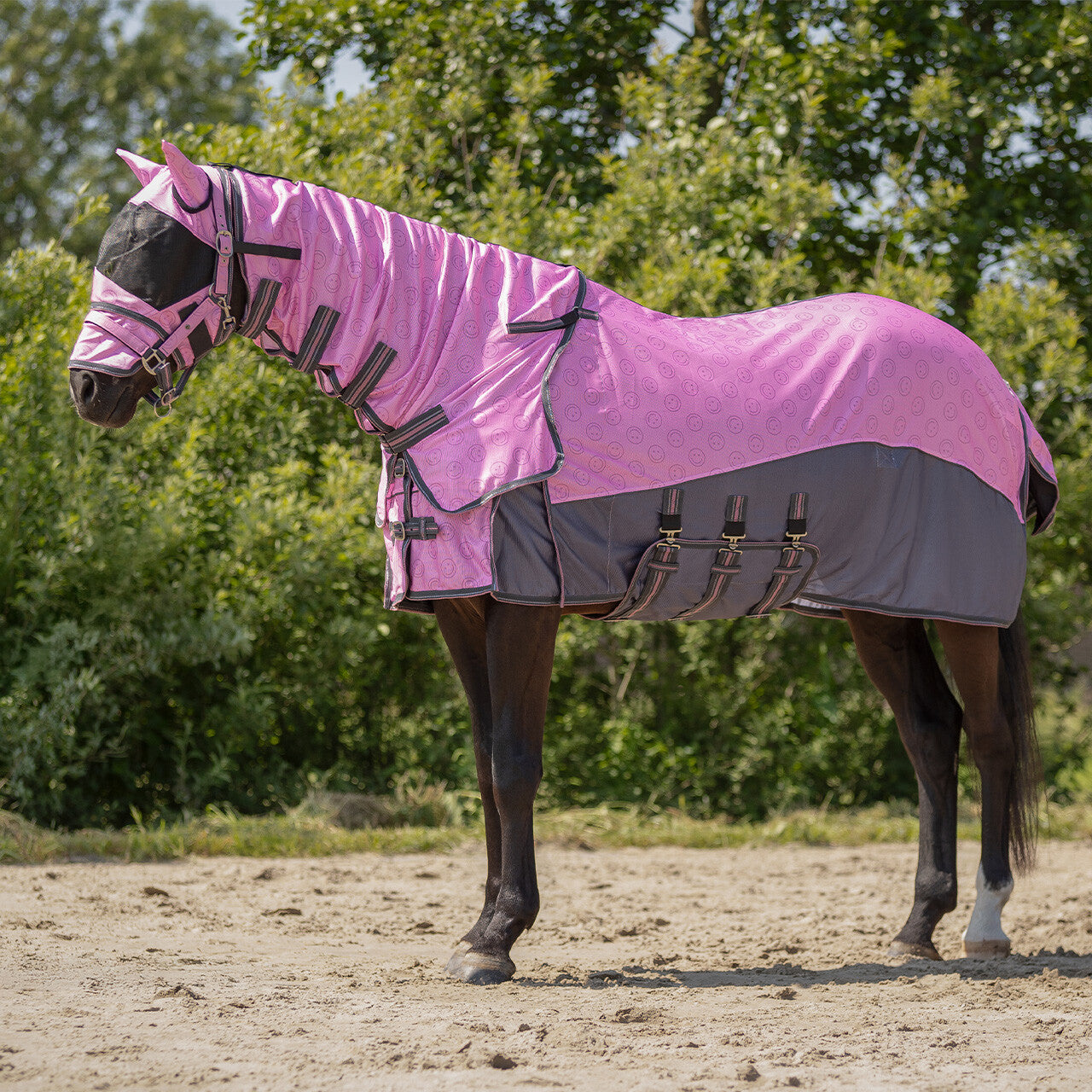 Fly sheet collection with detachable neck and mask