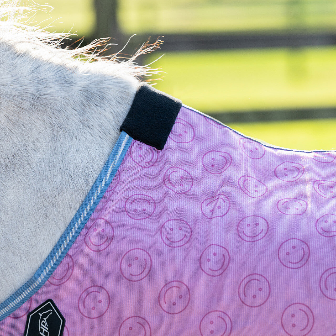 Fly sheet Rosalynn