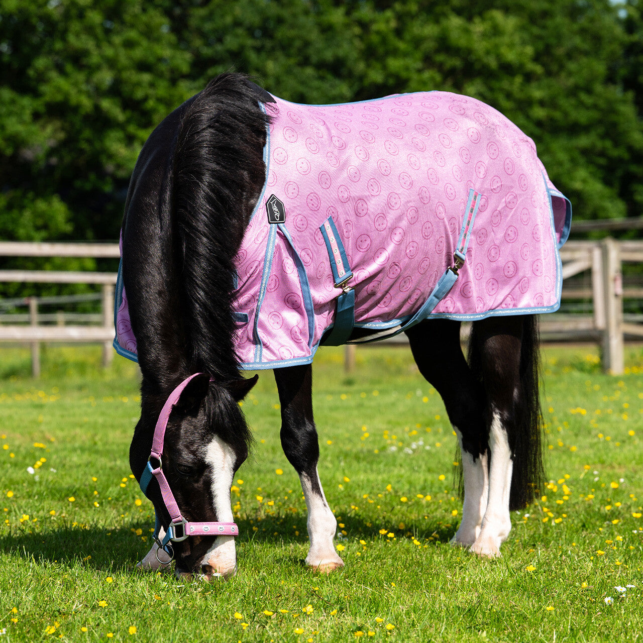 Fly sheet Rosalynn